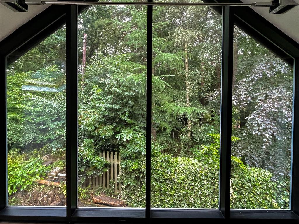 Window.jpg