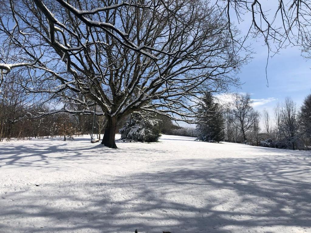 Snow.jpg