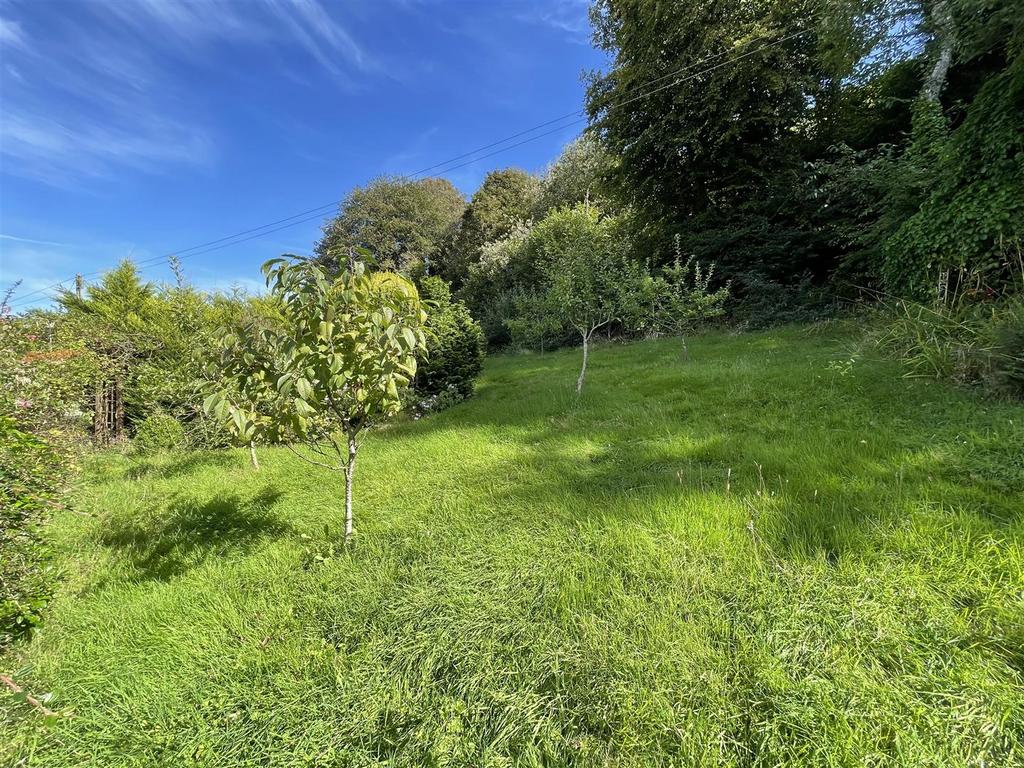 Rear garden 2.JPG