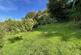 Rear garden 2.JPG