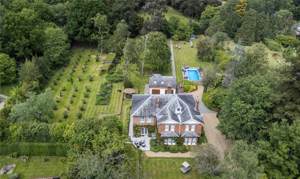 Aerial Shot