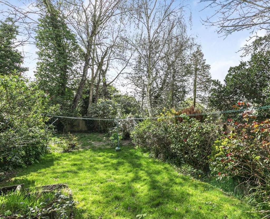Garden 2.png