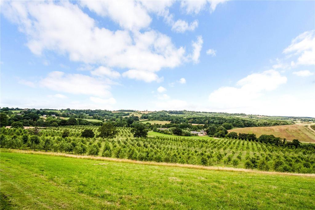 Countryside Views