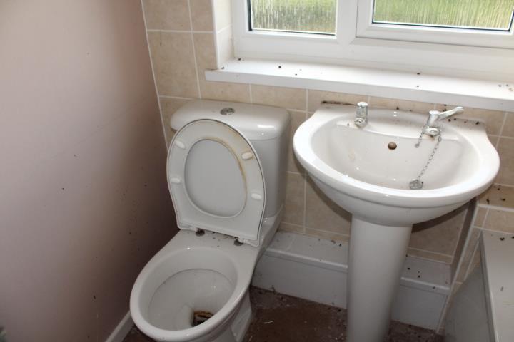 Img 4868.jpg