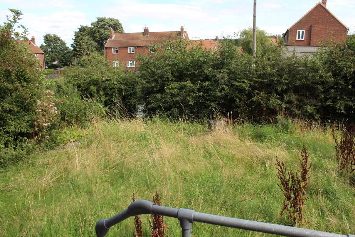 Img 4873.jpg