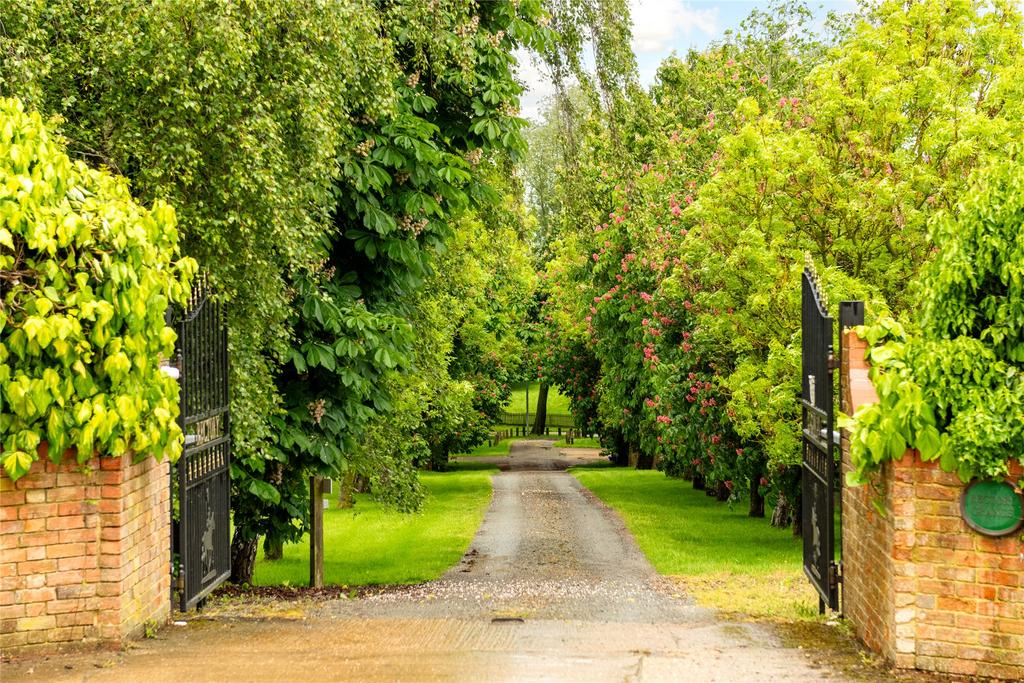 Driveway Approach