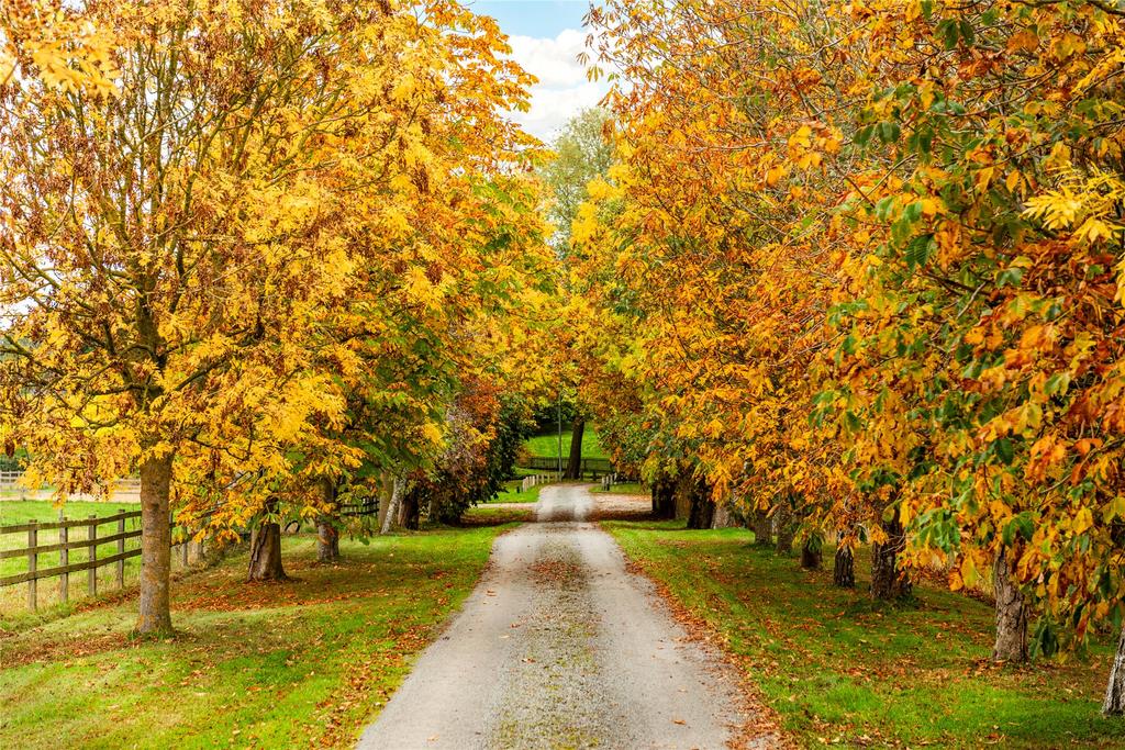 Driveway Approach