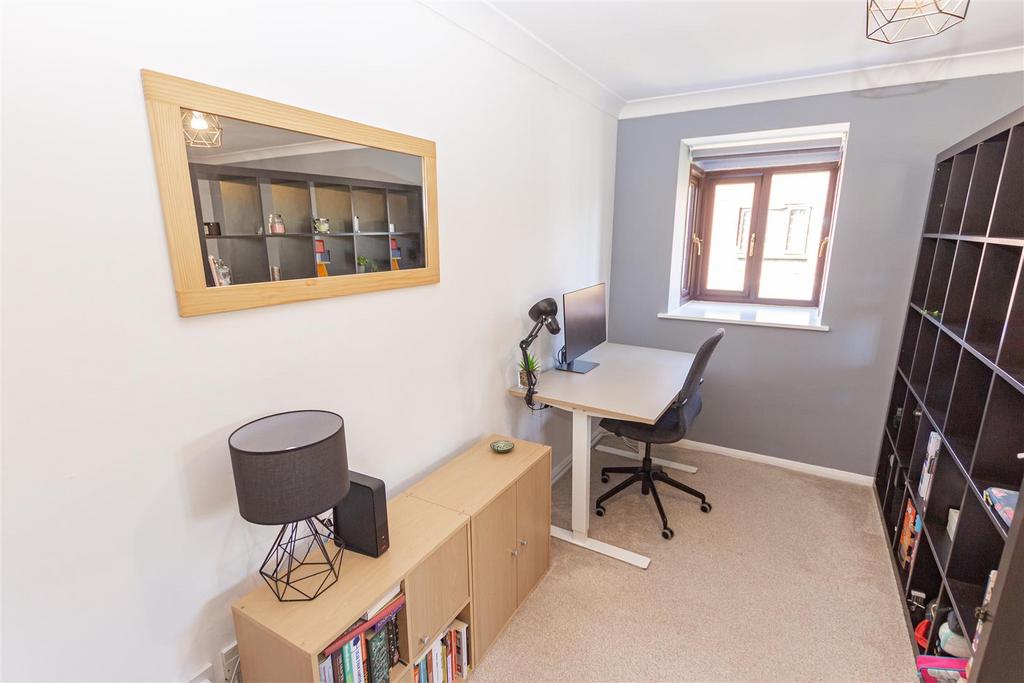 Study Area