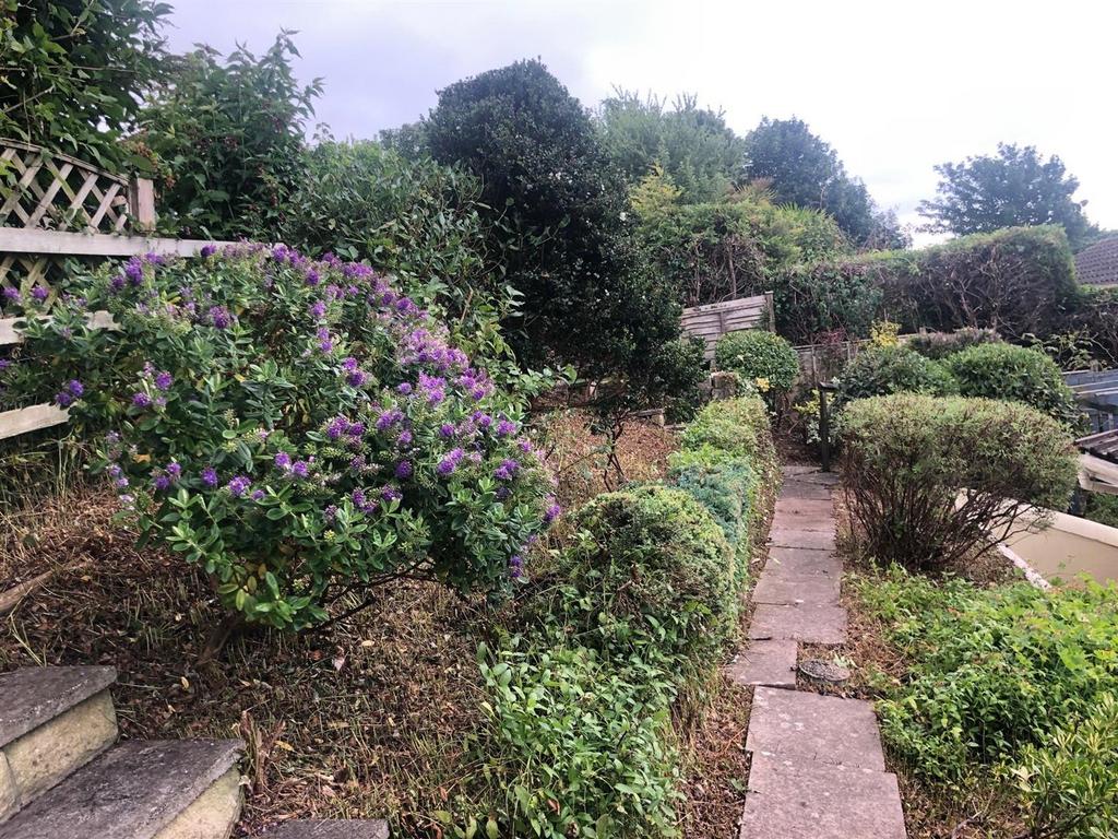 Garden 3.jpg