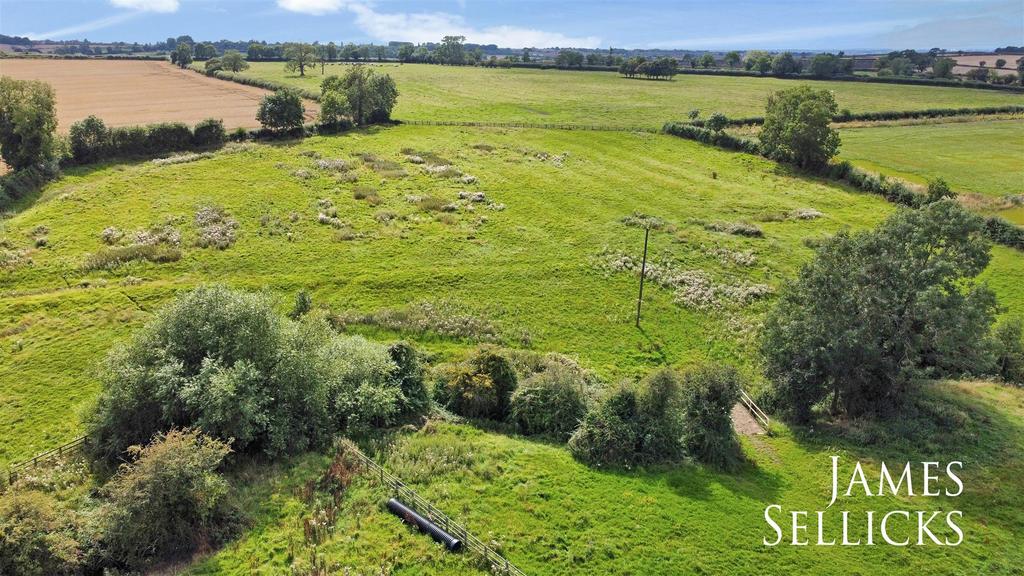 Paddock land