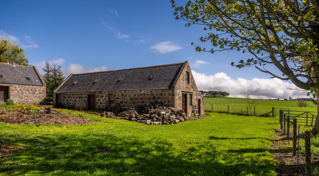 Steading and Grounds