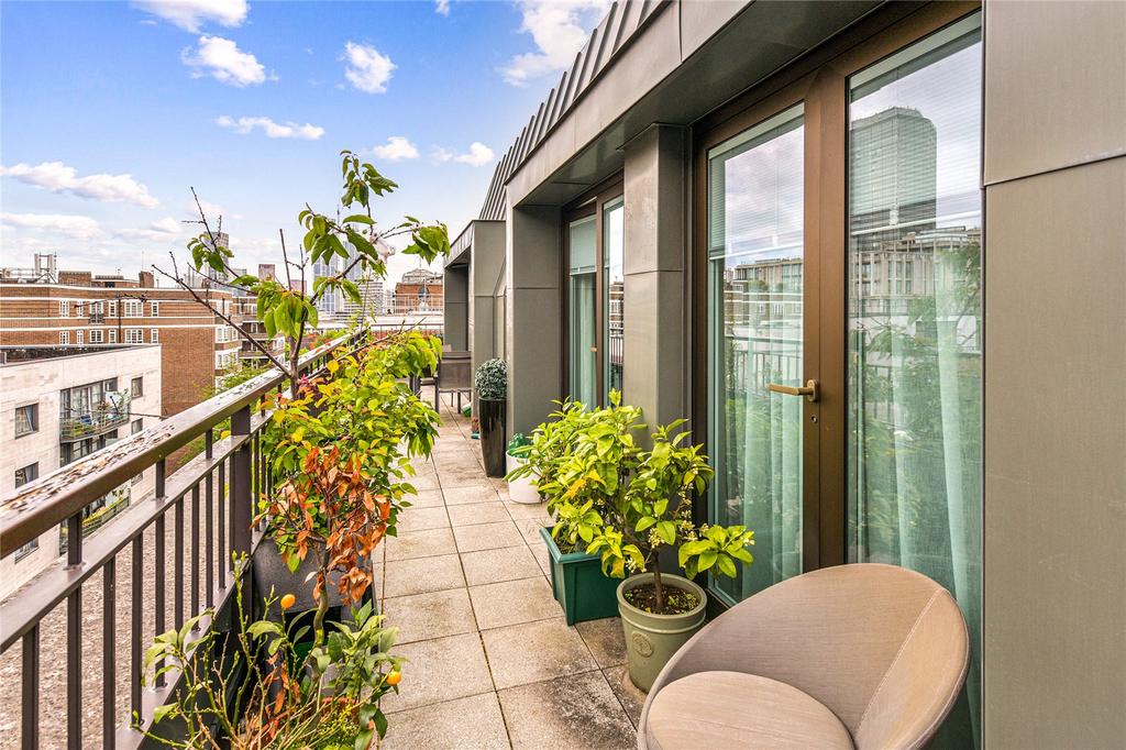 Roof Top Patio