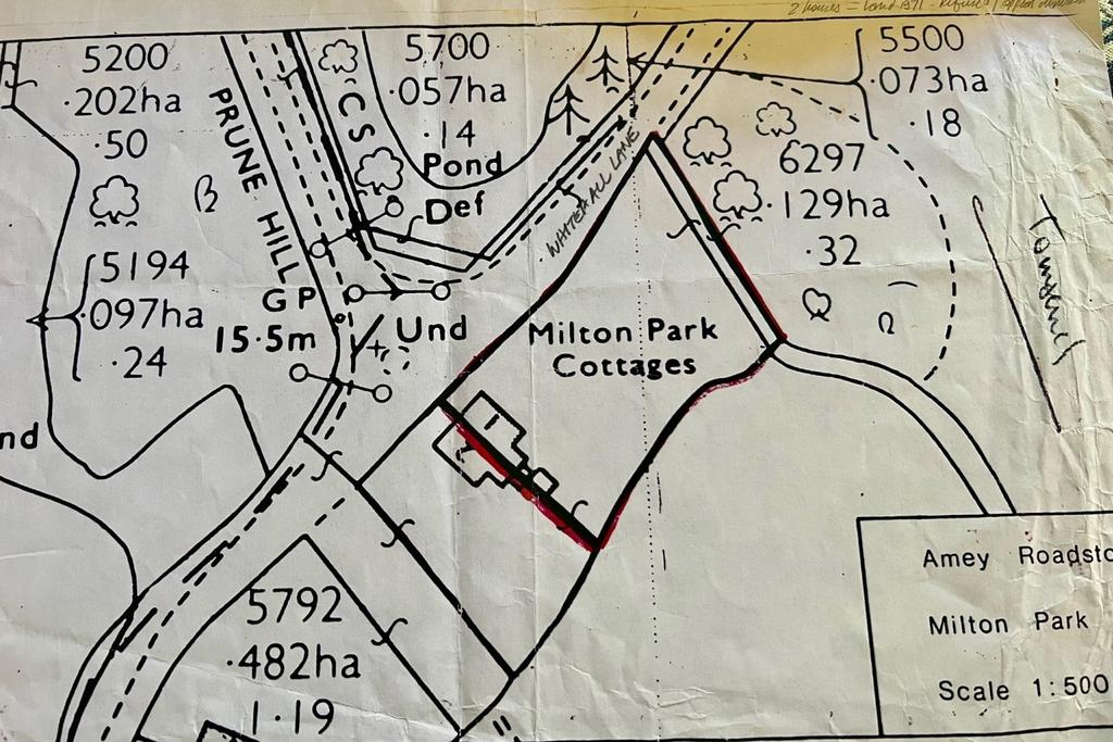 Plot area