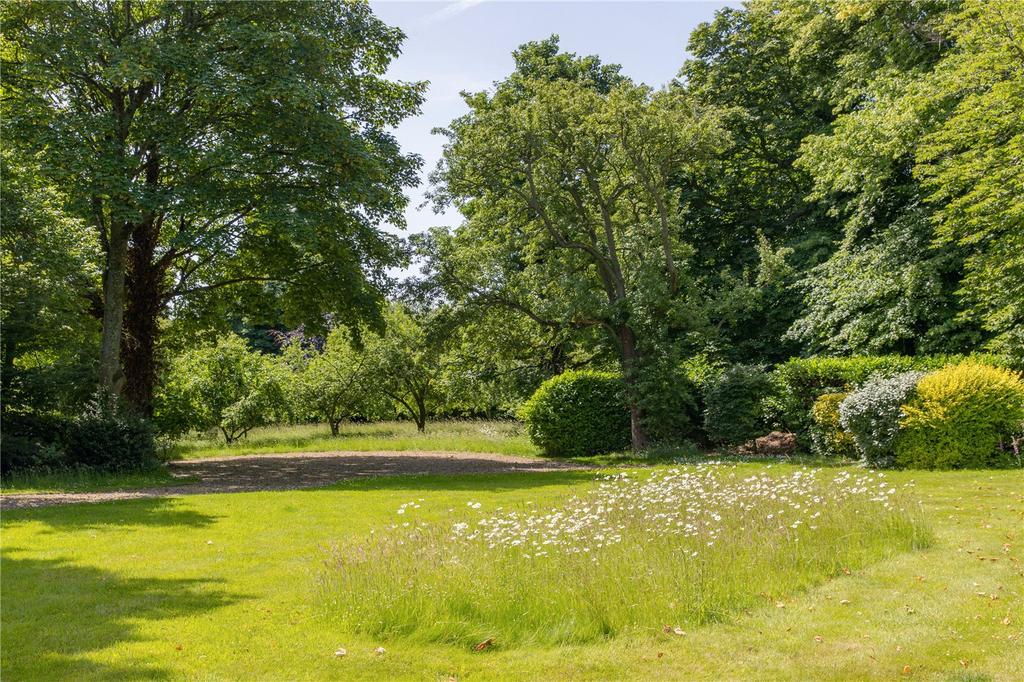 Lawn