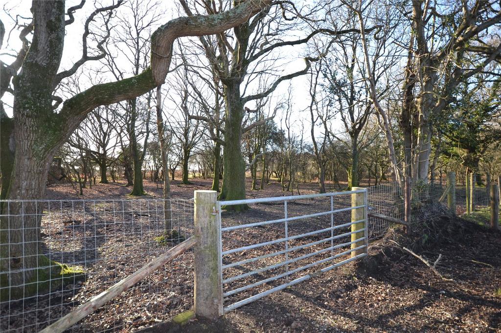 Access To New Forest