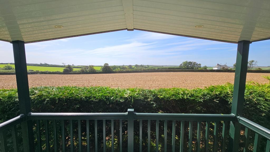 View from Decking