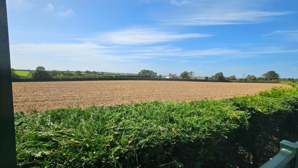 View from Decking