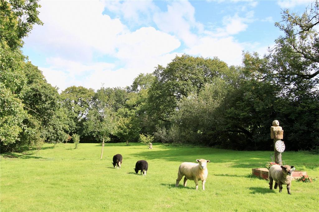 Holsworthy, Devon Land for sale £74,750