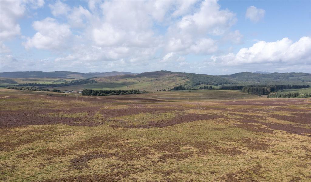 Heather Moor