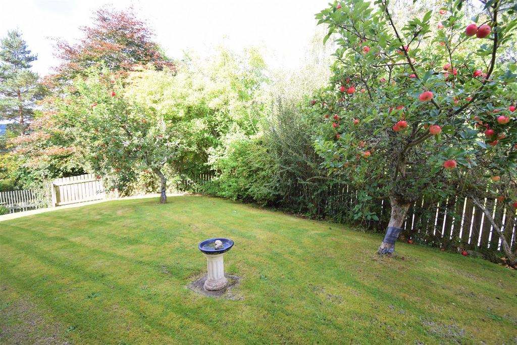 Garden.jpg