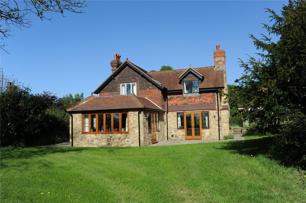 Rear Elevation