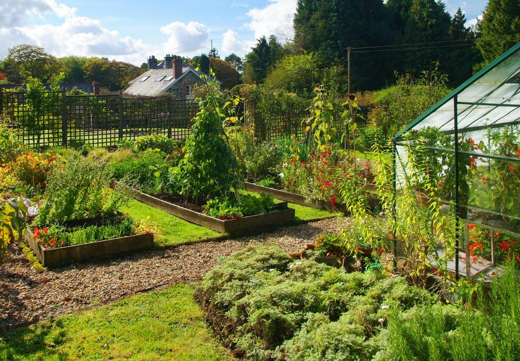 Vegetable Beds