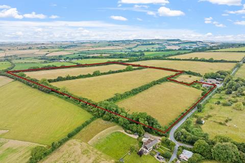 undefined, Milton Abbas, Dorset