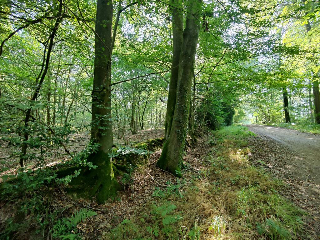 Plaistow, Billingshurst Land for sale £60,000