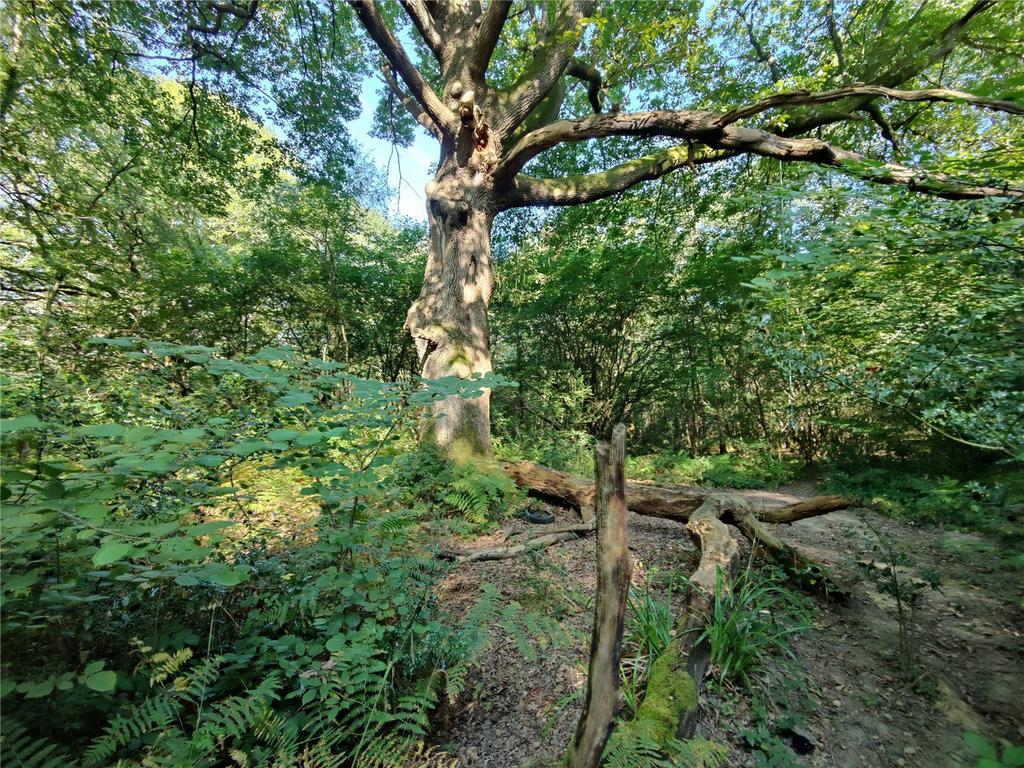 Picture 7