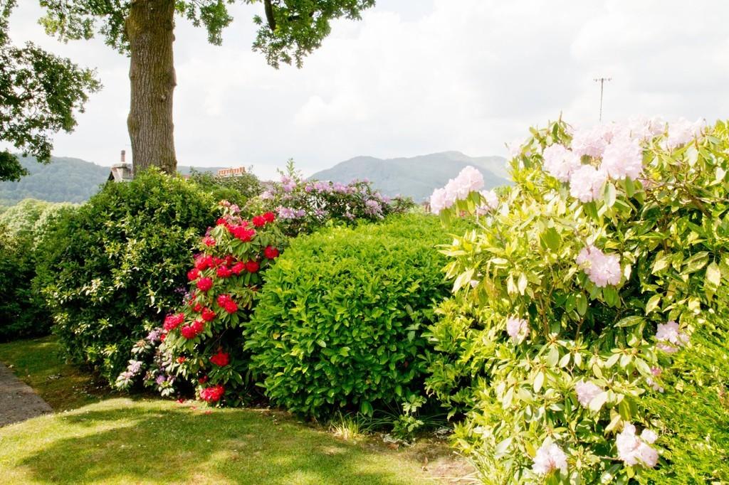 Communal Grounds and View