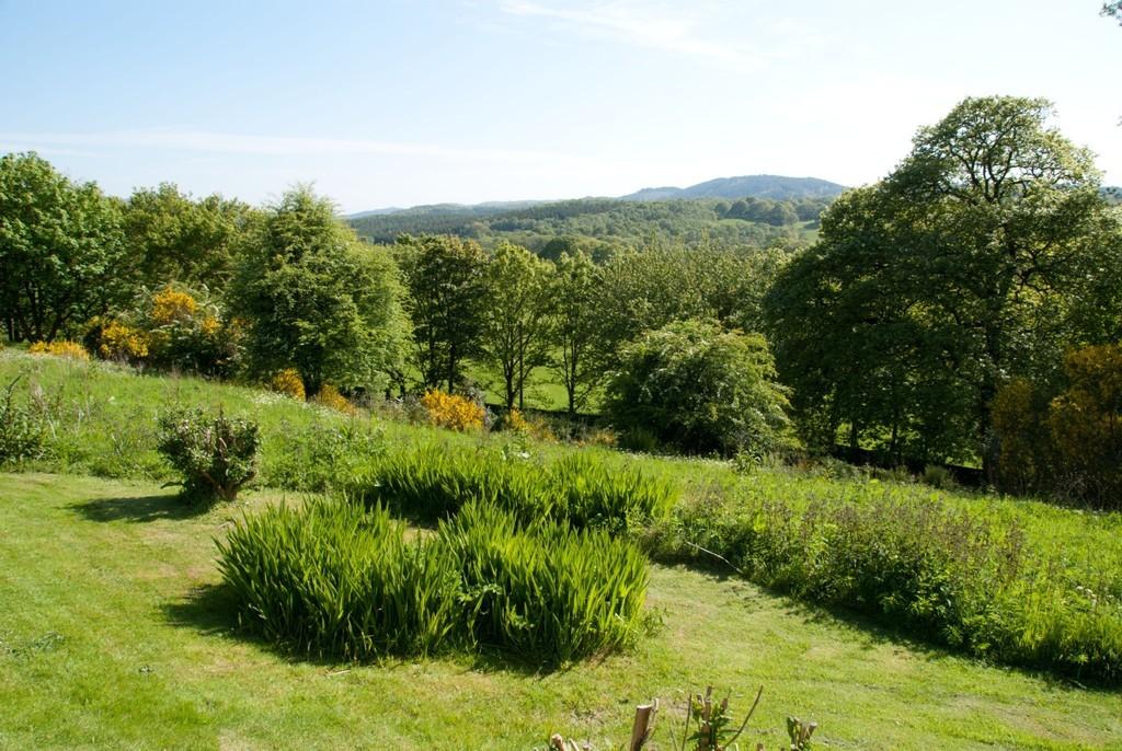 Communal Grounds and View