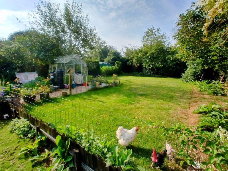 Garden with...