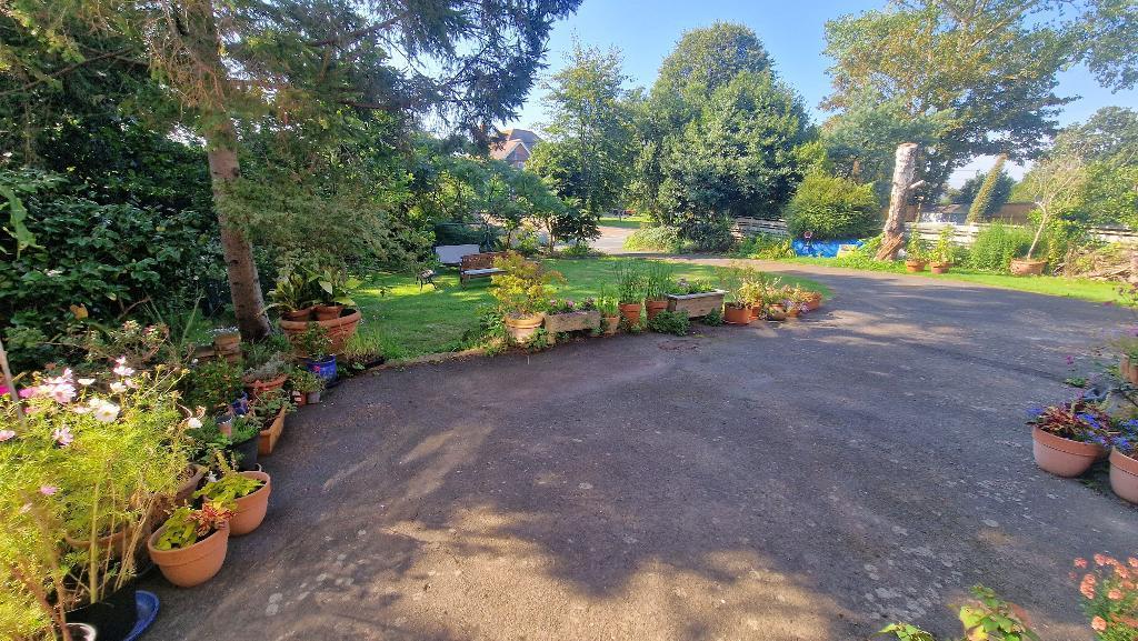 Front Garden and Driveway