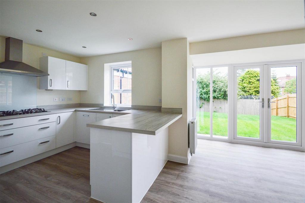 Living / Dining / Kitchen