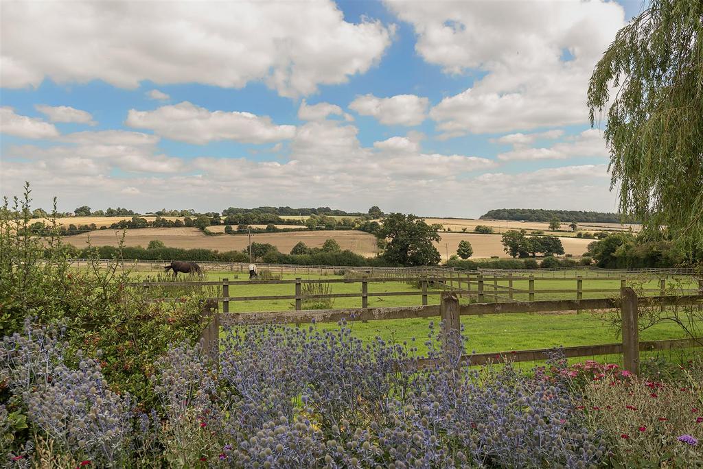 DSC 9221.jpg