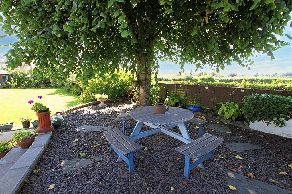 Rear garden and patio