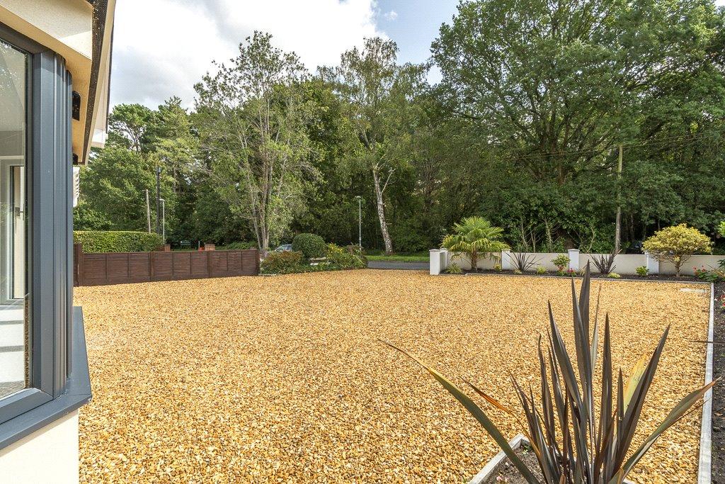 Expansive Driveway