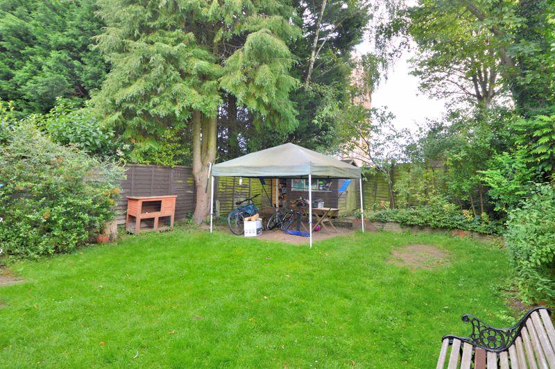 Back garden