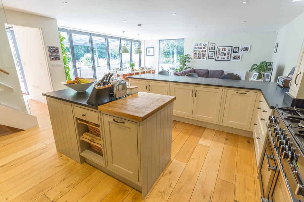 Kitchen/Family Area
