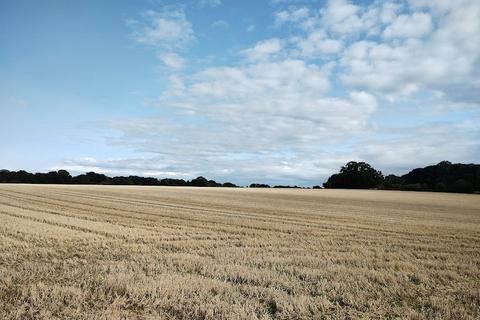 Farm land for sale, Ixer Lane, Bradfield Combust, Bury St. Edmunds, Suffolk, IP30