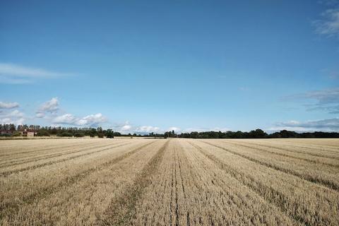 Farm land for sale, Ixer Lane, Bradfield Combust, Bury St. Edmunds, Suffolk, IP30
