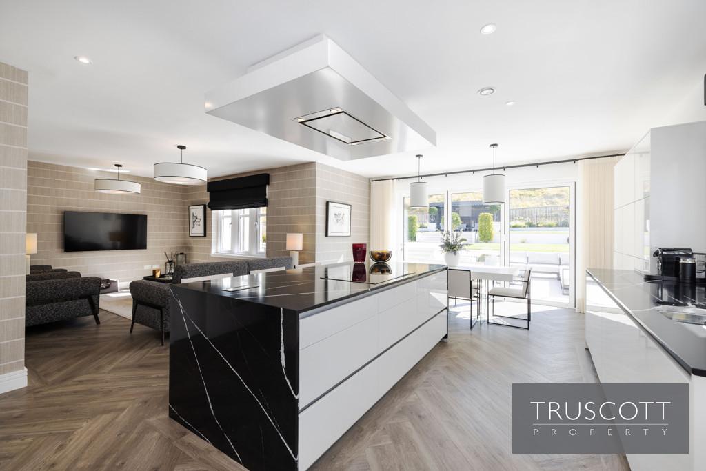 Kitchen/Dining/Family Room