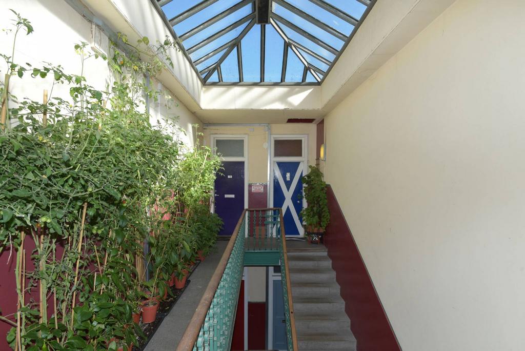 MFL3225733 187.jpg