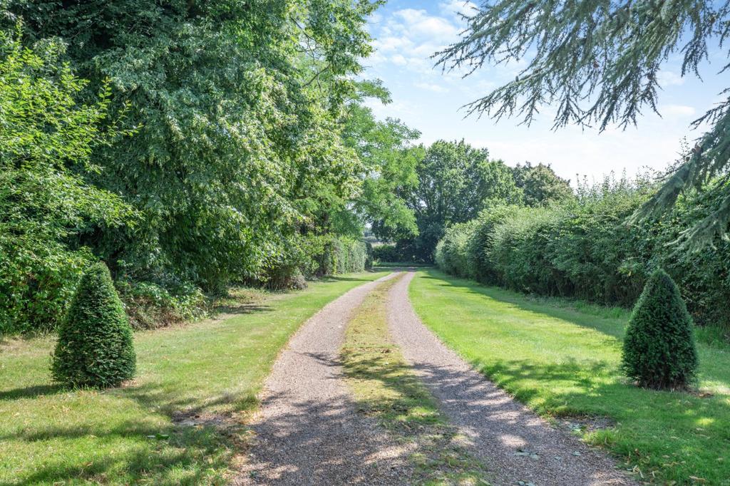 Driveway