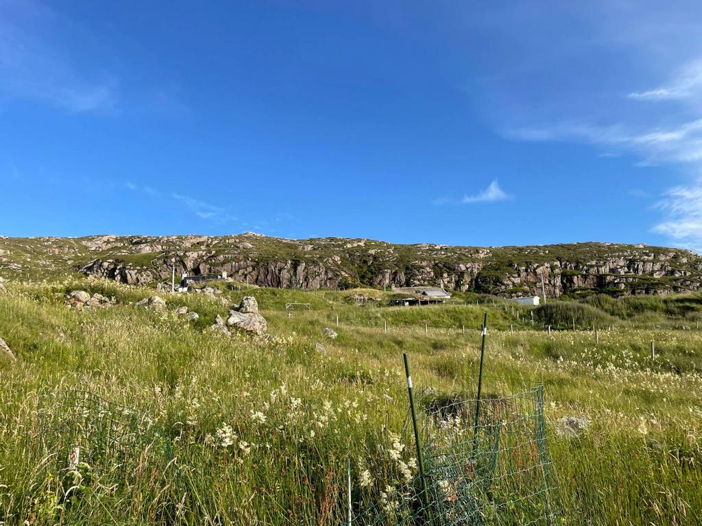 Building plot 120M NW of 159 Oldshoremore, Kinlochbervie, Lairg, IV27