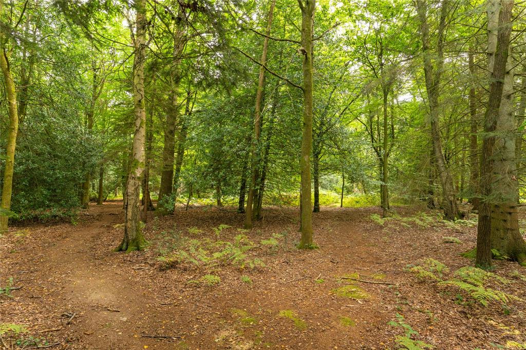 Woodland