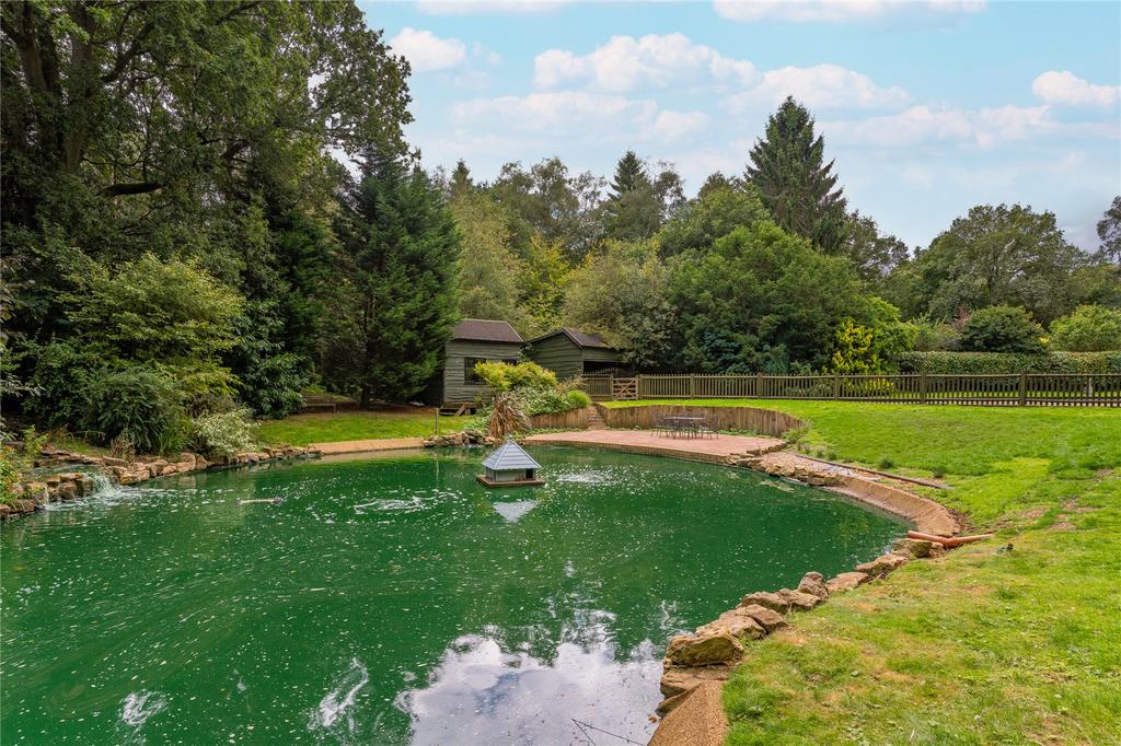 Pond