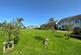 Green space