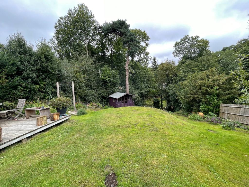 Back Garden