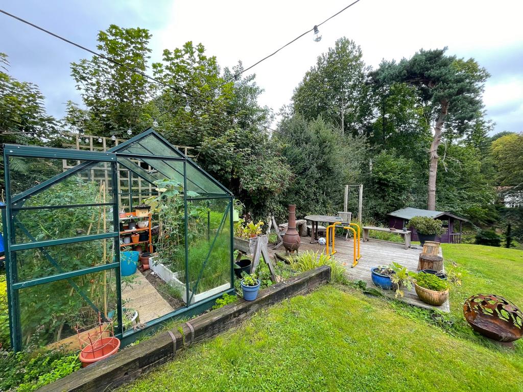 Back Garden